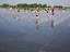 Miroir d'eau des quais, Bordeaux