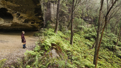 Image_25934-17