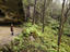 Mt Colboyd, Blue Mountains