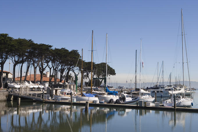 Sailboats moored at San Francisco Marina.