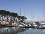 Sailboats moored at San Francisco Marina.