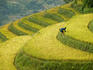 Black H'mong woman in rice field terraces near Tafen Village.