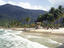 Waves roll onto palm lined beach.