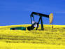 Oil pumpjack in canola field.