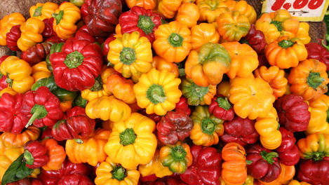Capsicums for sale at market, Mercato di Antignano.