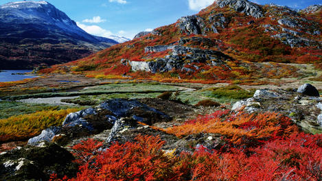 Tierra Del Fuego Parque Nacional Tierra Del Fuego