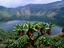 Crater Lake on Visoke volcano, with distinctive groundsel trees.