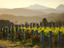 Richmond Range, New Zealand