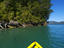 Kenepuru Sound, New Zealand