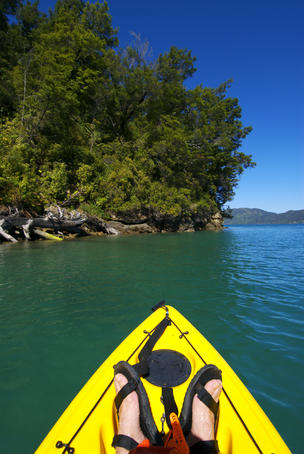 Kayaking at Kenepuru Sound.