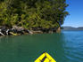 Kayaking at Kenepuru Sound.
