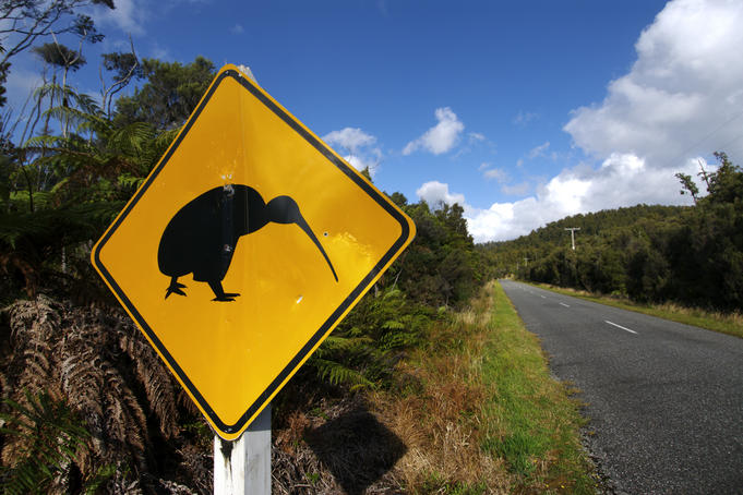 Kiwi sign along road to Gillespies Beach.