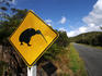 Kiwi sign along road to Gillespies Beach.