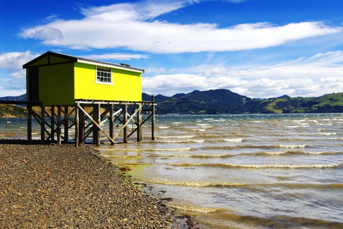 Wooden boathouse at end of pier, Otago Harbour.