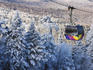 Ski gondola above the treetops, Killington Ski Resort.