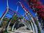 Walkway through sculptured abhor in South Bank Parklands.