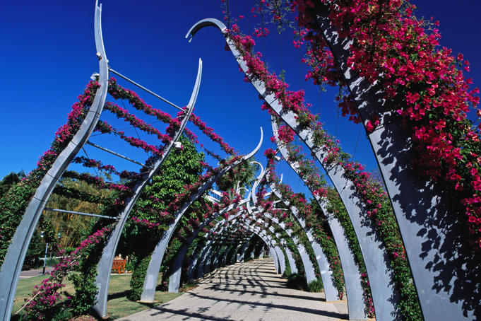 Walkway through sculptured abhor in South Bank Parklands.