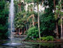 City Botanic Gardens.