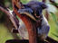 Image_26100-2