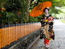 Young maiko (apprentice geisha) girl, walking with umbrella, in Shirakawa-miname-dori street.