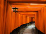 Tori tunnels at the 8th-century Fushimi-Inari-Taisha shrine, Southern Kyoto.