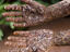 Bride's hands, Bengaluru