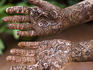 After application of henna on the bride's hands, she must wait for it to dry.