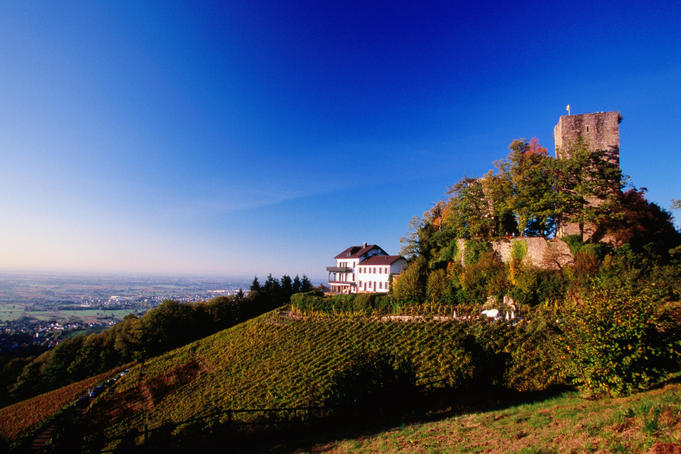 Windeck castle ruin, near Buhl.