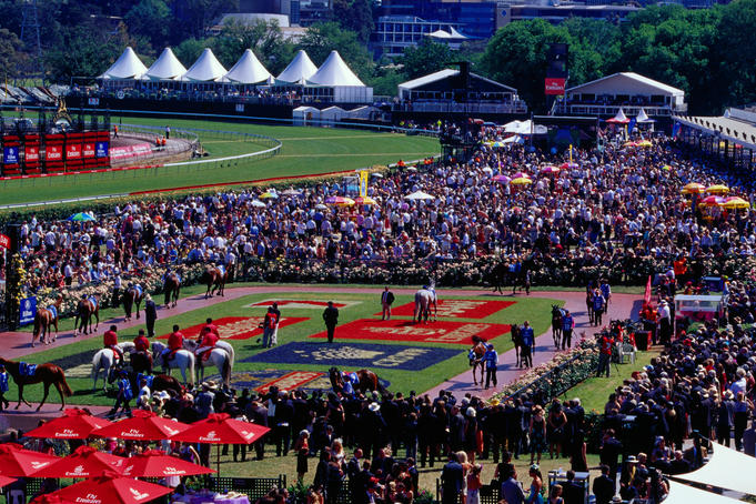Horses parading in mounting yard at Flemington Race Course.
