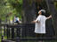 Image_26130-50
