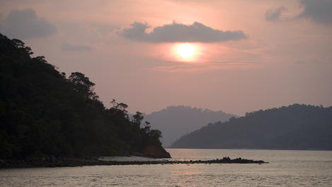 Image_26131-2