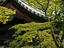 Temple roof detail through trees.