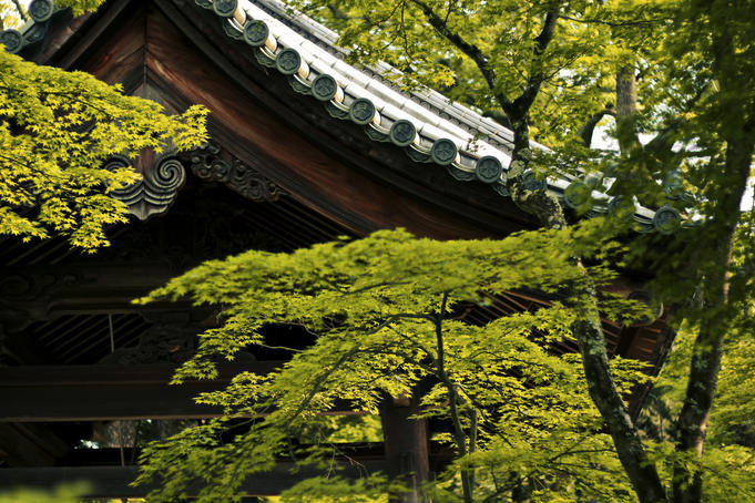 Temple roof detail through trees.