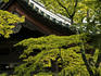 Temple roof detail through trees.