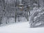 Image_26149-6