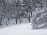Haga Park, winter.