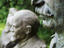 Image_26155-36