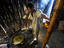 Image_26159-45