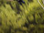 Image_26162-2