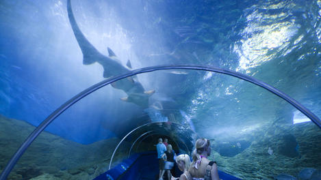 Australia Western Australia