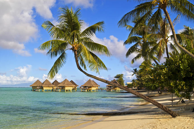 Top 5 tropical islands