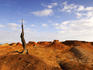 Old tree stump in desert.