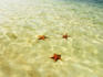 Sea stars in tropical water at Star beach.