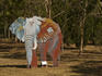 Galvanised iron elephant in garden of Carrick Hill.