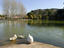 Image_26189-153