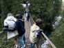 Suspension bridge, Lynn Canyon Park.
