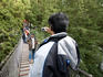 Suspension bridge, Lynn Canyon Park.