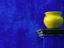 Yellow pot and blue wall, Mexico