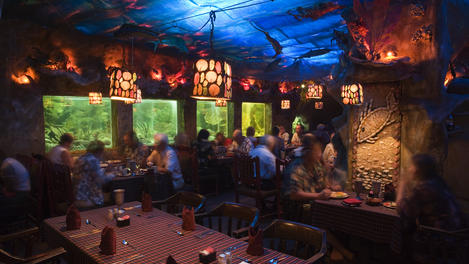 Diners amid aquariums at Buccaneer Restaurant.