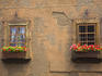 Window detail.